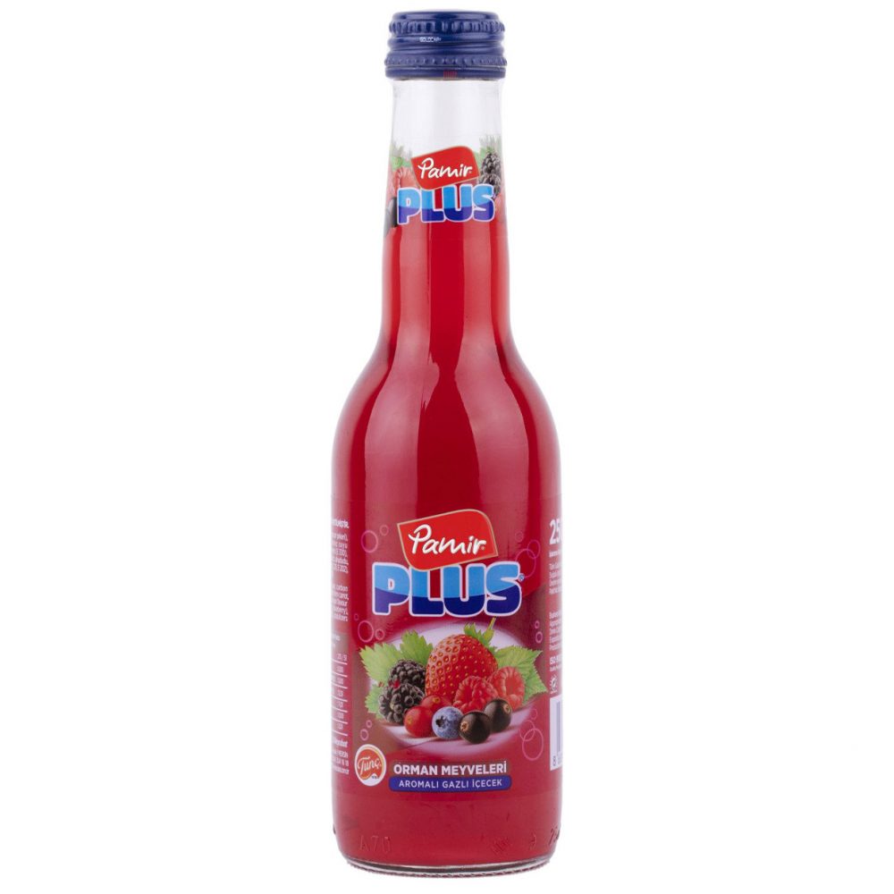 Pamir Plus Forest Fruit Flavoured Carbonated Drink 24x250ml